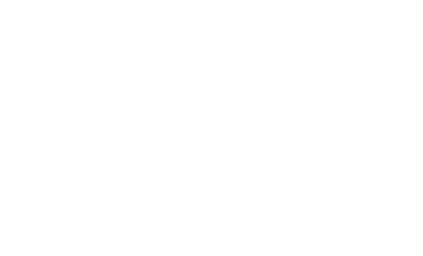 ibm_silver-blanco-256h IBM Silver Partner