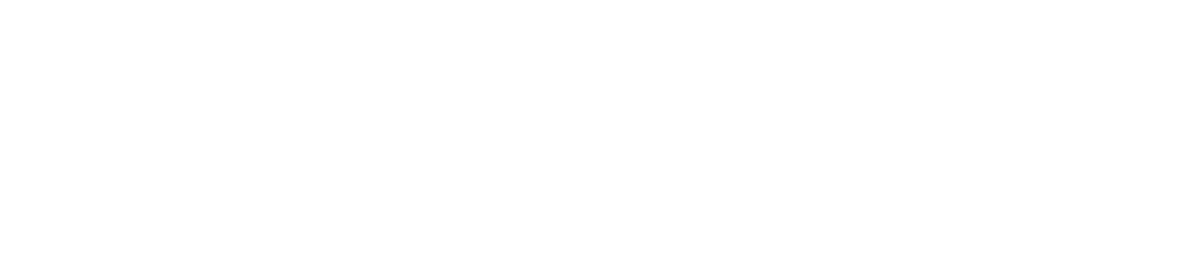 logo-checkpoint Check Point